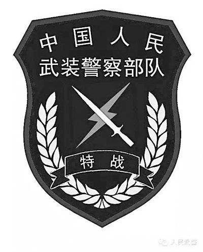 武警特战